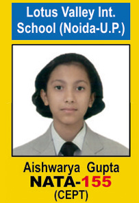 Nata Score 2017